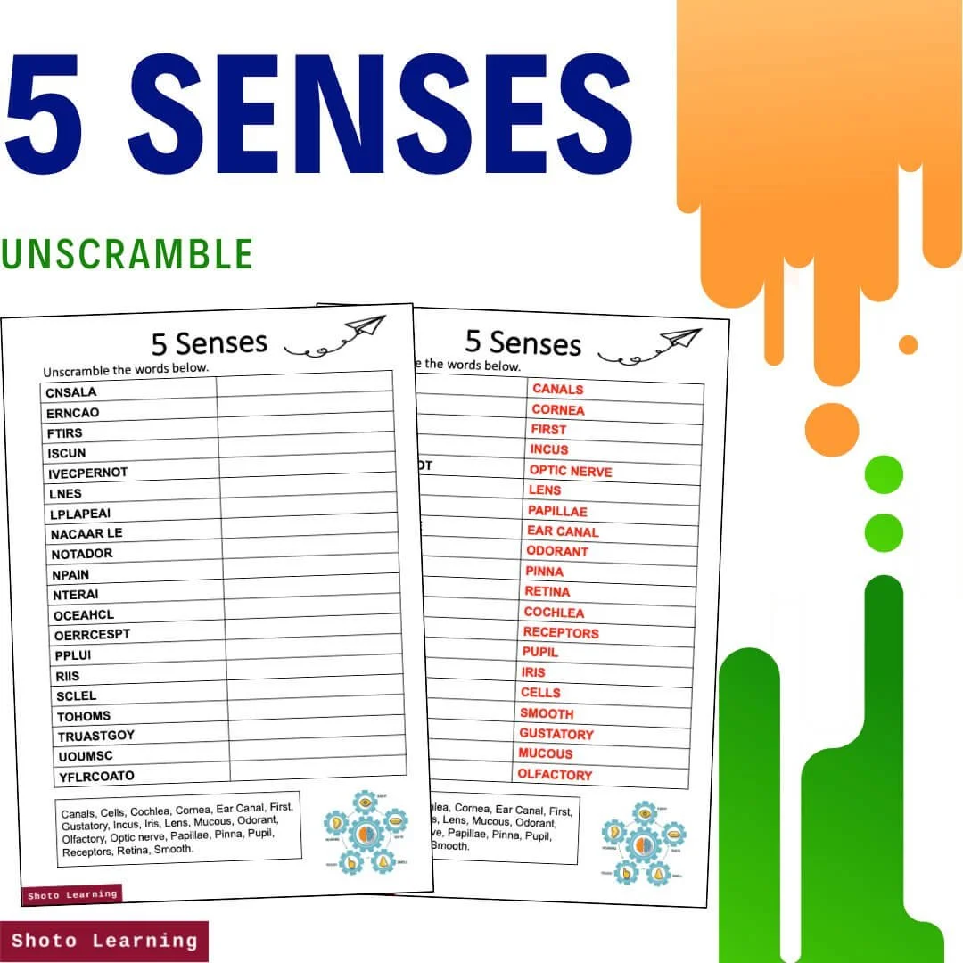 5+SENSES+-+WS.jpg